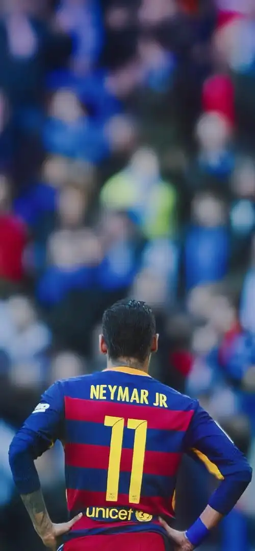 力图追求的 力图追求的