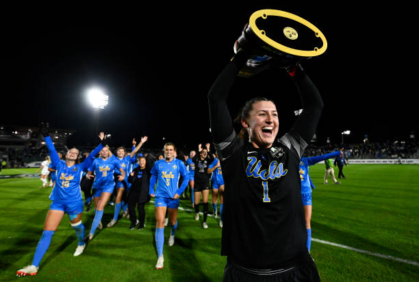 明星再度贡 明星再度贡